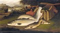On The Banks Of The Tweed, Salmon, Salmon Trout, Lake Trout - A. Roland Knight