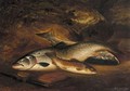 Two Salmon And A Brown Trout - Henry Leonidas Rolfe