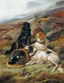 The Highland Trio, English And Gordon Setters - John Gifford