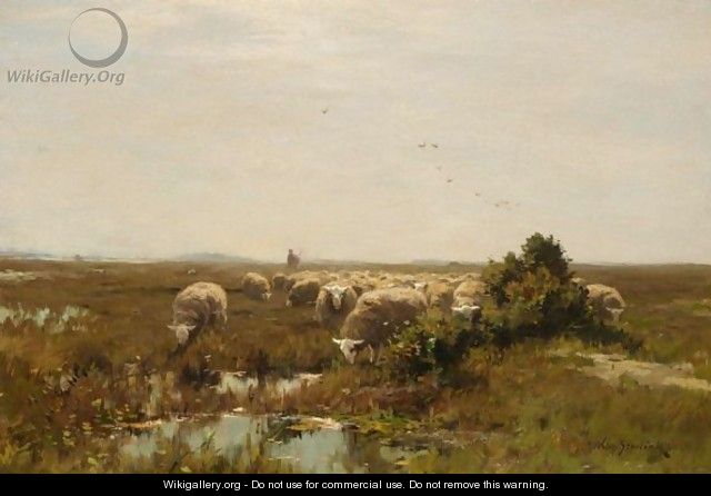 A Flock Of Sheep Drinking - Willem II Steelink