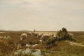 A Flock Of Sheep Drinking - Willem II Steelink