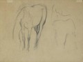Etude De Cheval - Edgar Degas