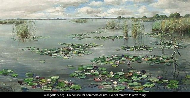 Plasgezicht Met Waterlelies - Willem Roelofs