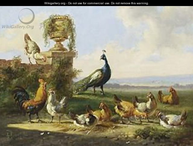 Chicken And A Peacock In A Garden - Albertus Verhoesen