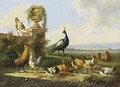 Chicken And A Peacock In A Garden - Albertus Verhoesen