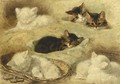 Kittens At Rest - Henriette Ronner-Knip