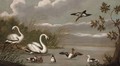 A River Landscape With Swans And Ducks - (after) Pieter Casteels III