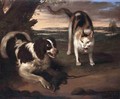 Landscape With A Dog And A Cat Fighting - Adriaen Cornelisz. Beeldemaker