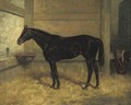 Hastings In A Stable - Henry Stull