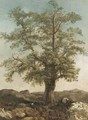 Study Of A Tree - Achille-Etna Michallon
