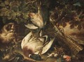 A Spaniel Guarding Over A Duck, A Partridge And Smallbirds, Together With A Musket Resting Against A Tree - (after) Baldassare De Caro