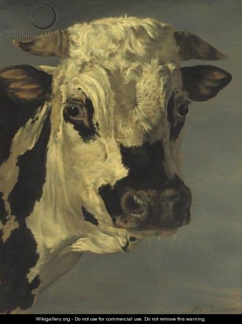 Head Of A Bull, After Paulus Potter - Henri Delattre