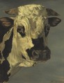 Head Of A Bull, After Paulus Potter - Henri Delattre