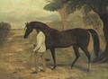 Irish Birdcatcher Led By A Groom - Harry Hall