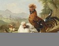 The Rooster A´s Family - Adriana-Johanna Haanen