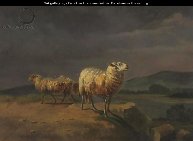 Sheep In A Landscape - Balthasar Paul Ommeganck