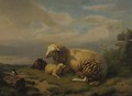 Sheep Resting - Eugène Verboeckhoven