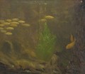 Under The Sea - Gerrit Willem Dijsselhof