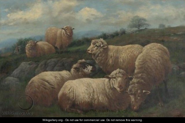 Sheep In A Pasture - Arthur Fitzwilliam Tait