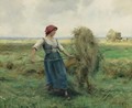 The Haymakers - Julien Dupre