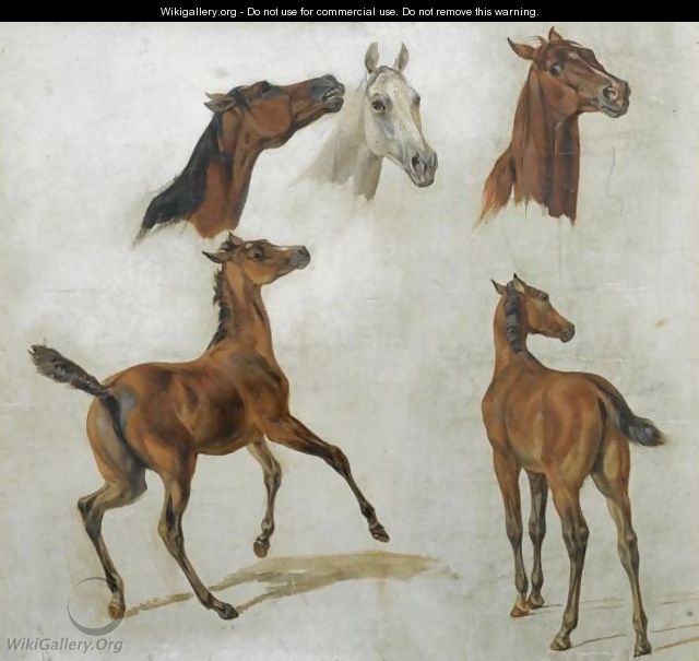 Pferdestudien (Horse Studies) - Adam Albrecht
