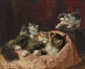 Hello There - Henriette Ronner-Knip