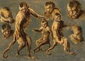 Various Studies Of Capuchin Monkeys - Flemish School