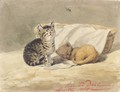 Two Kittens By A Basket One Asleep, The Other Watching An Insect - Johannes Siegwald Dahl