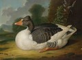 A Goose In A Landscape - Jacob Samuel Beck
