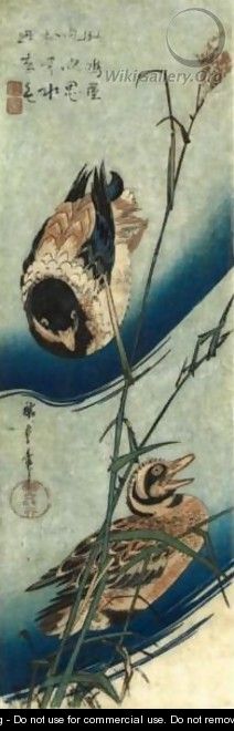 Kacho-Ga 2 - Utagawa or Ando Hiroshige