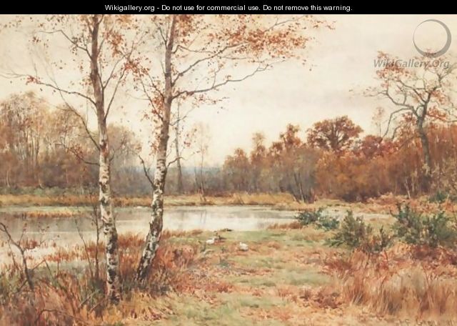 A Heathland Landscape With Ducks And A Pond - James Edward Grace