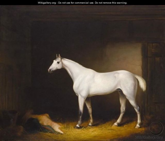A Grey Racehorse In A Stable - Edmund Rolfe
