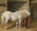 A Grey Mare And Her Foal In A Loose Box - John Frederick Herring Snr