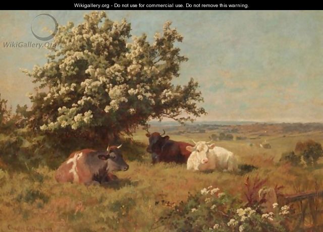 Cows In A Meadow - Charles Collins