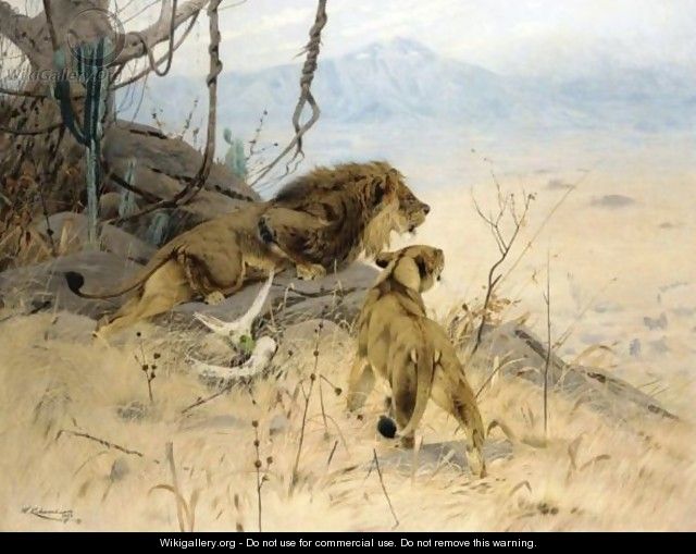 Lowe Und Lowin Erspahen Eine Zebraherde (Lion And Lioness Stalking A Zebra Herd) - Wilhelm Kuhnert