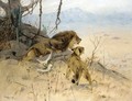 Lowe Und Lowin Erspahen Eine Zebraherde (Lion And Lioness Stalking A Zebra Herd) - Wilhelm Kuhnert