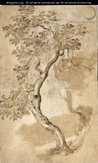 Study Of Two Trees - Abraham Bloemaert