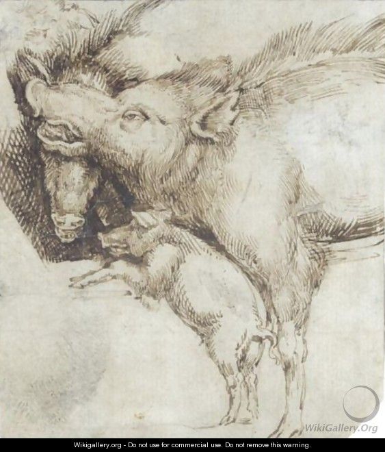Study Of Two Swine And A Piglet - (after) Durer or Duerer, Albrecht