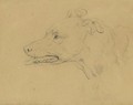 Study Of The Head Of A Greyhound - Sir Edwin Henry Landseer