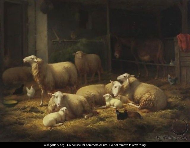 Sheep In A Barn - Theo van Sluys