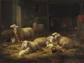 Sheep In A Barn - Theo van Sluys