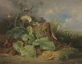 Still Life With Thistle And Bird - Josef Schuster