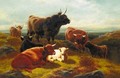 Highland Cattle 3 - William Watson