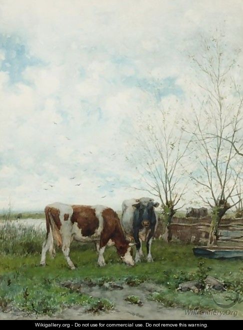 Cows At Pasture - Jan Vrolijk