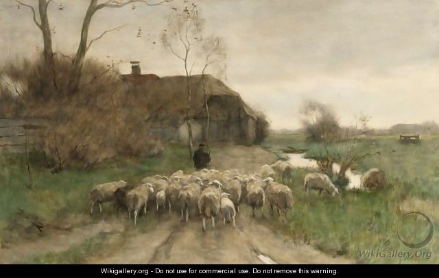 Sheep Going To The Stable - Willem II Steelink