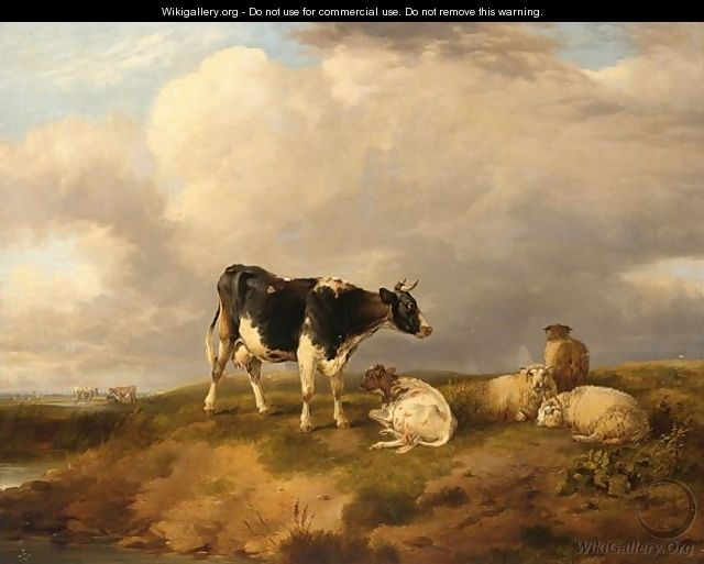 Cows And Sheep In A Meadow - German School