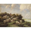 Spring - Wright Barker