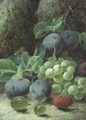 Still Life Studies Of Fruit - Oliver Clare