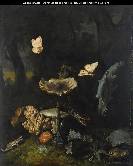 A Forest Floor Still Life With Various Fungi, Thistles, An Aspic Viper, A Sand Lizard, A Snail, A Tree Frog And Two Moths - Otto Marseus Van Schrieck
