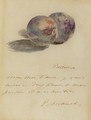 Lettre A Faure - Edouard Manet